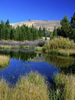 Beaver Ponds, Sun Valley, Idaho.jpg